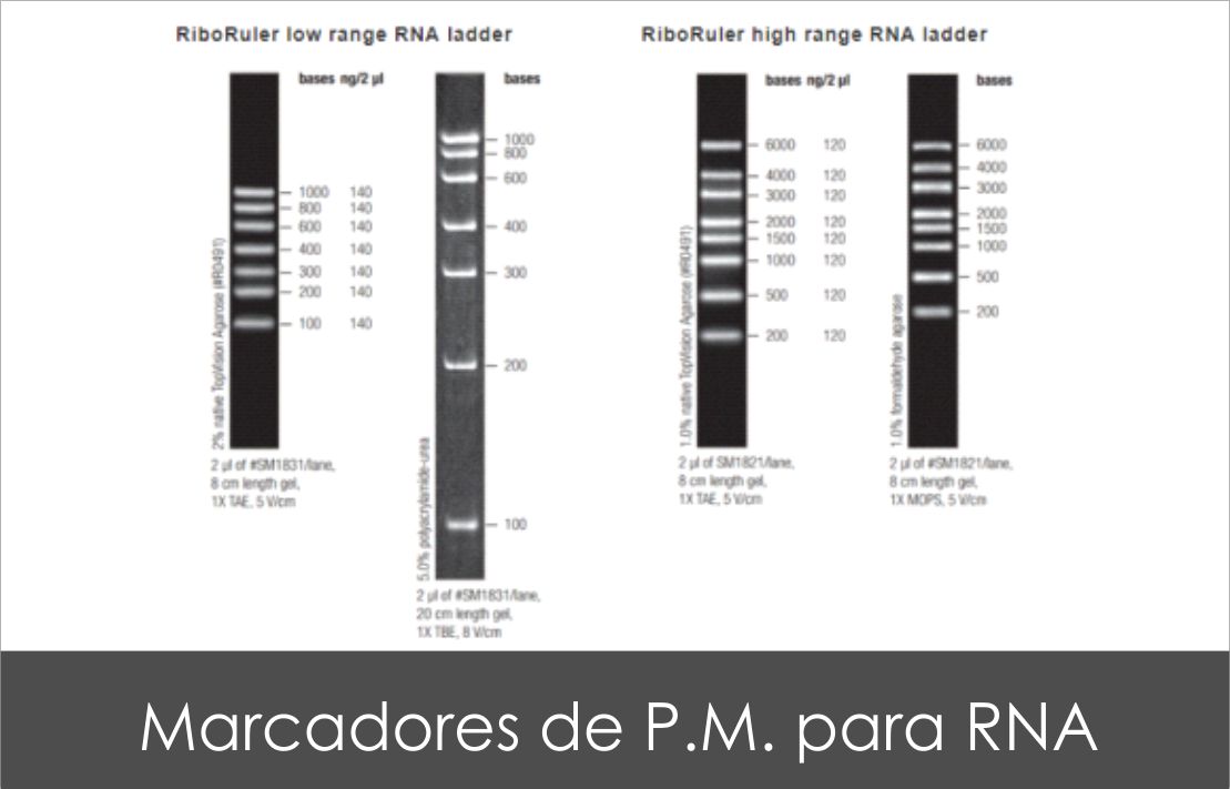 Cuadro1